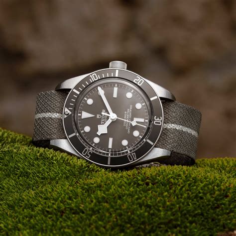 tudor black bay gilt|tudor black bay 58 silver.